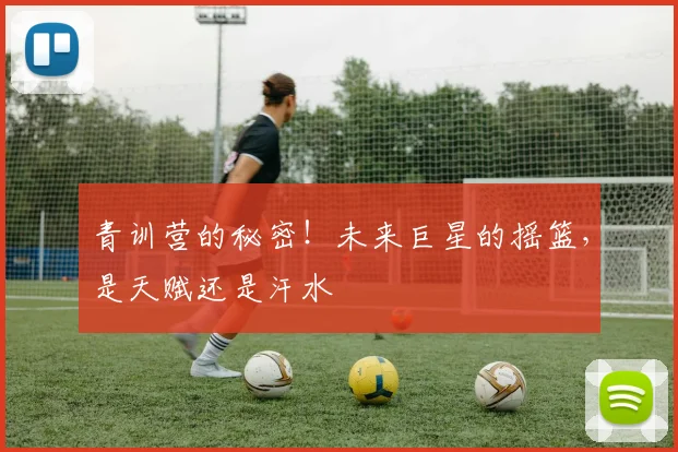 青训营的秘密!未来巨星的摇篮,是天赋还是汗水