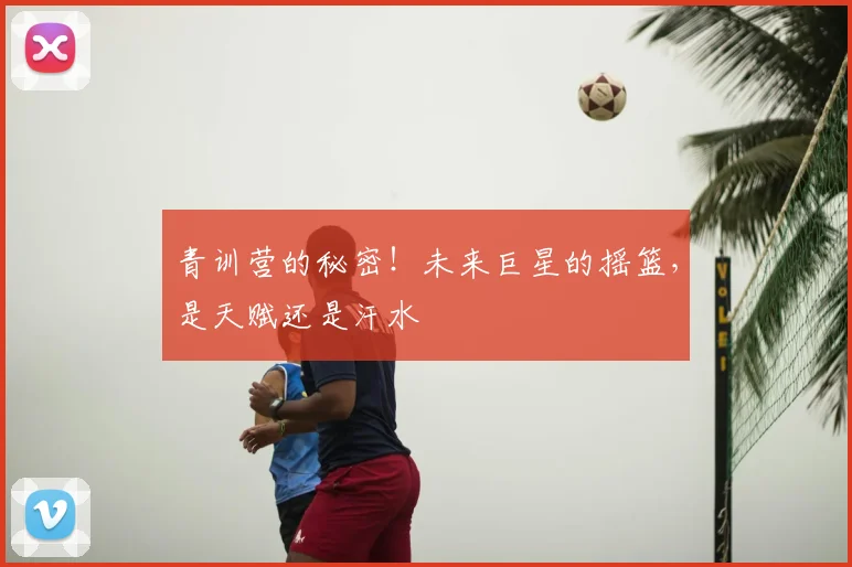 青训营的秘密!未来巨星的摇篮,是天赋还是汗水